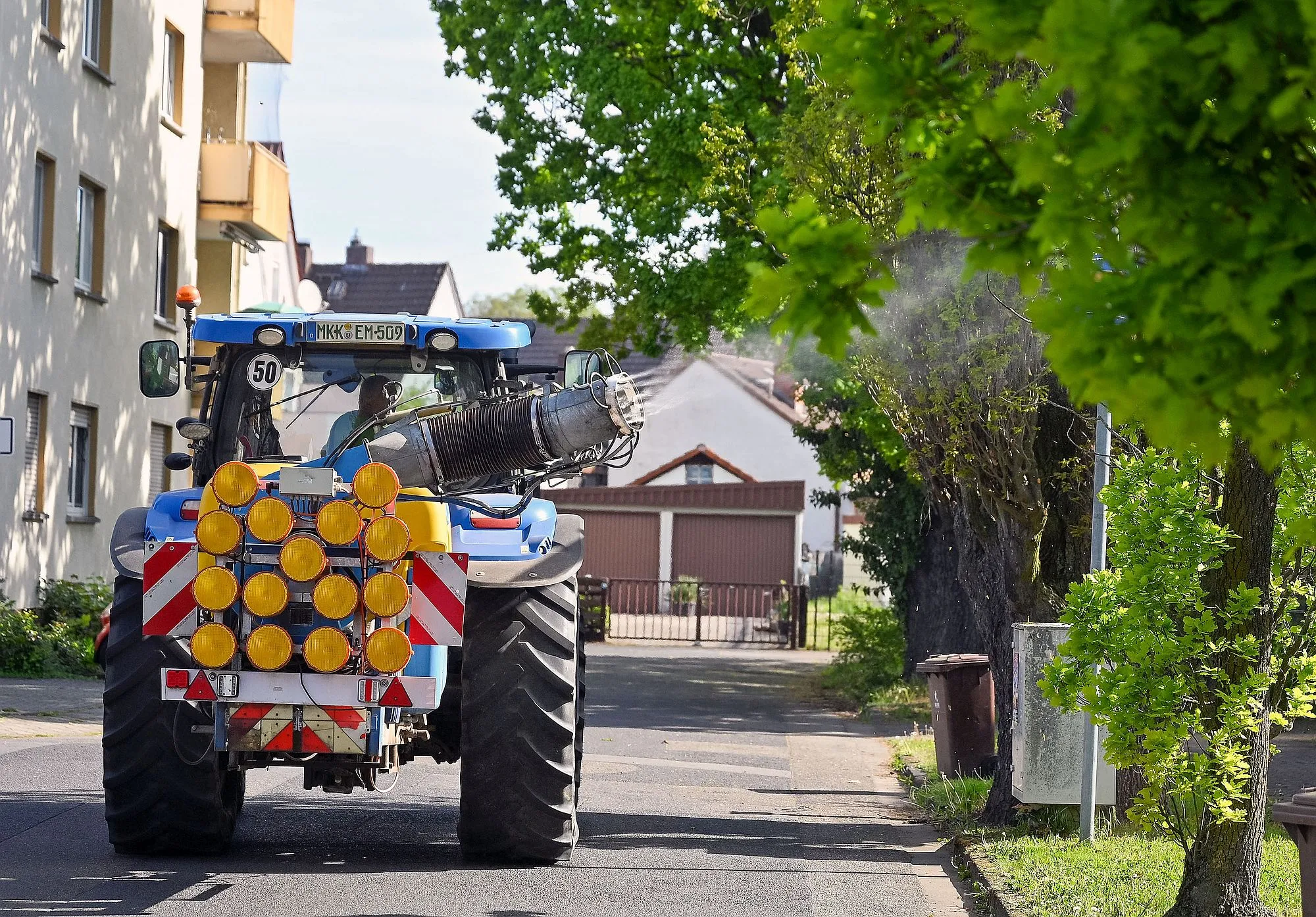 Hanau setzt auf bewährte Strategie gegen Eichenprozessionsspinner