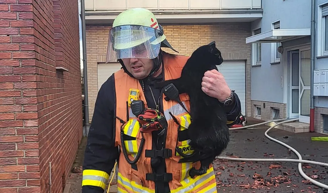 Dachstuhlbrand in Bruchköbel: Feuerwehr rettet Katze