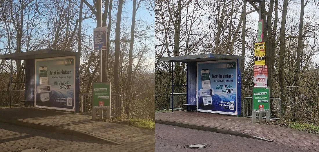 AfD äußert sich zu "Plakatschwund"