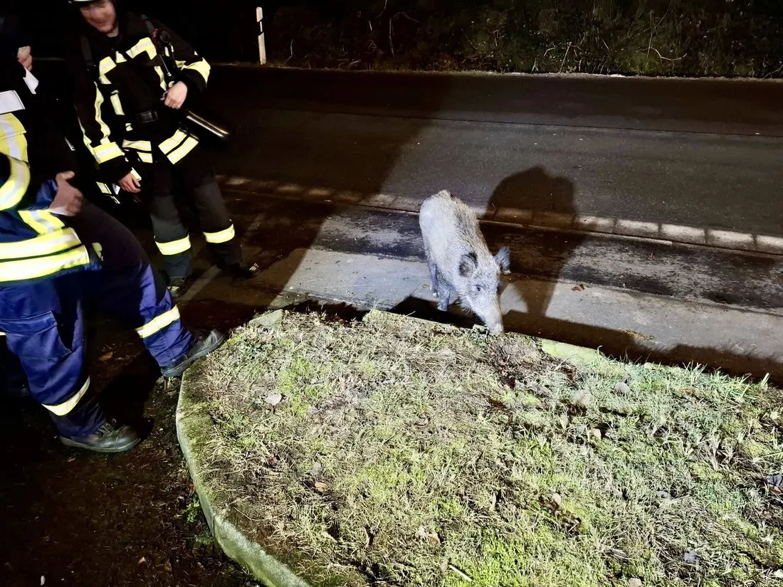 Gründau: Tierischer Begleiter bei Feuerwehreinsatz