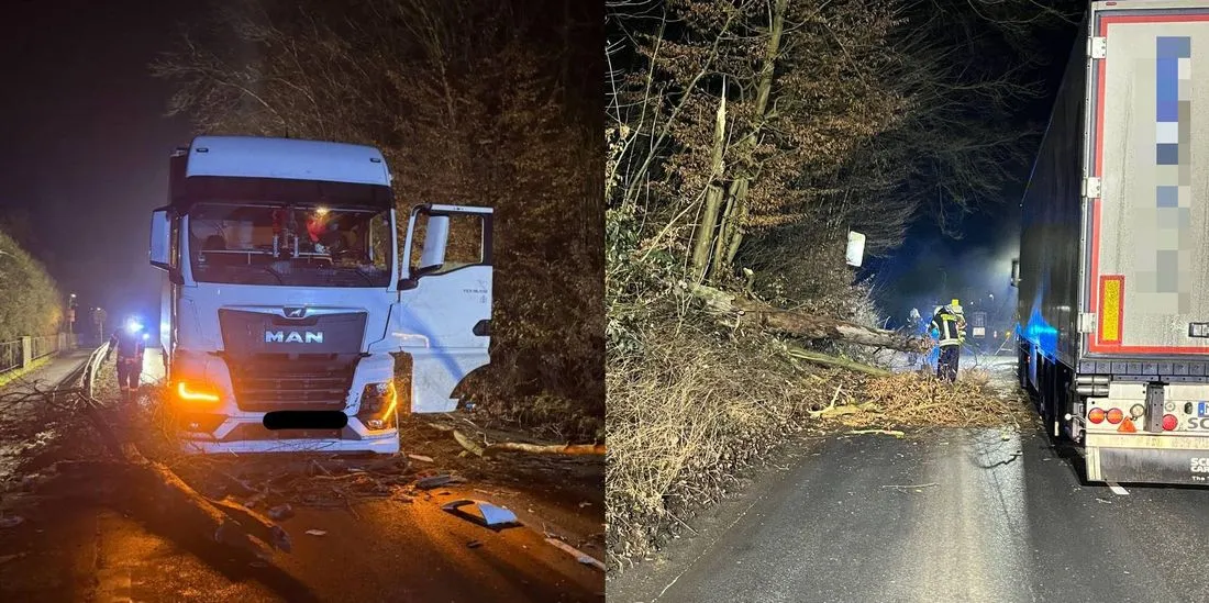 Schöneck: Lkw kracht in umgestürzten Baum