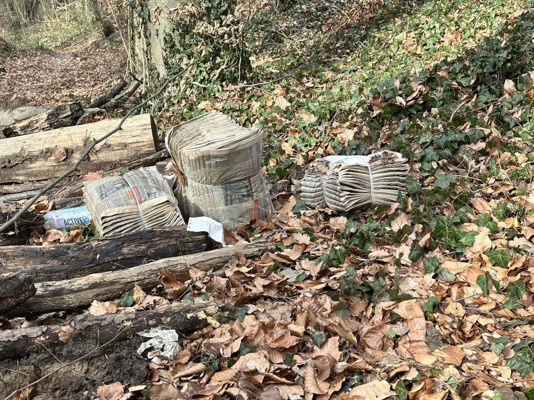 Freigericht: Hunderte Zeitungen im Gänsewald entsorgt