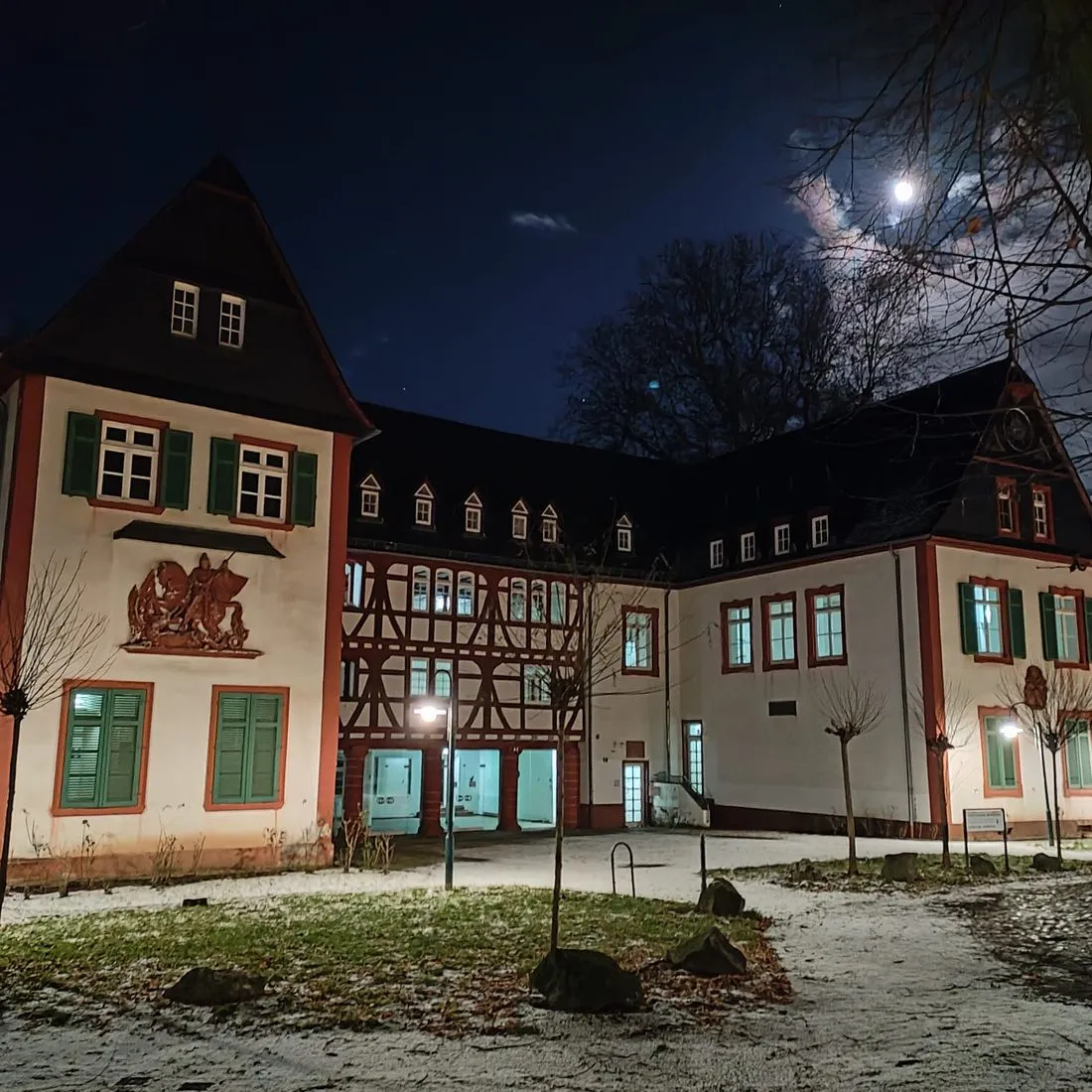 Geschichte des Alten Schlosses Büdesheim