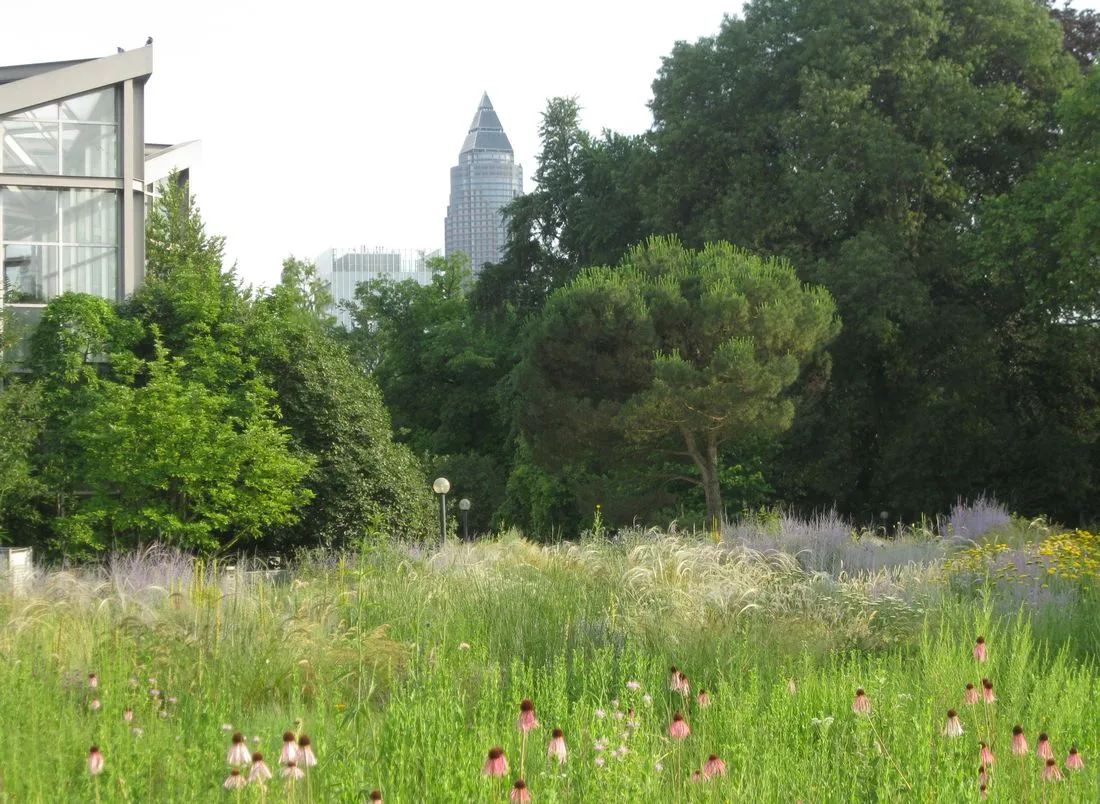 Vortrag: Stadtnatur für mehr Lebensqualität und Biodiversität