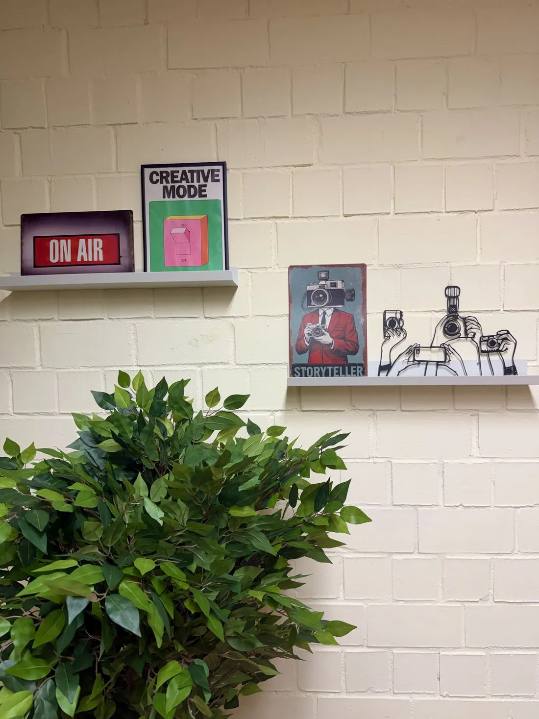 facetunebirstein az1