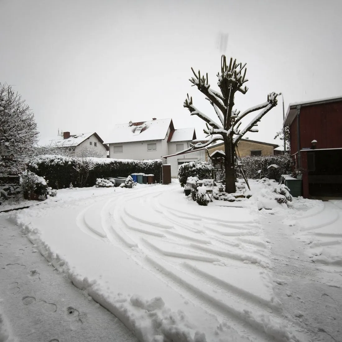 herbertwinterfoto az