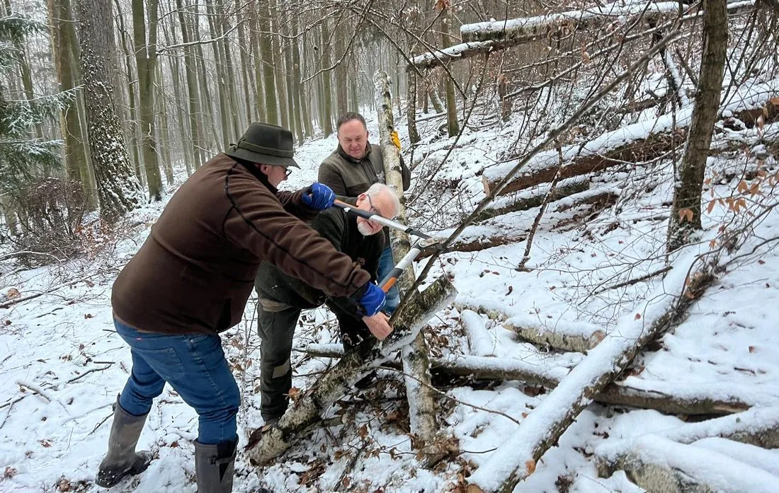 Stadtwald Gelnhausen: Naturschutz bei Minusgraden
