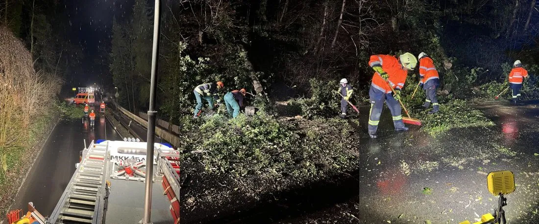 Schöneck: Umgestürzter Baum blockiert Landstraße