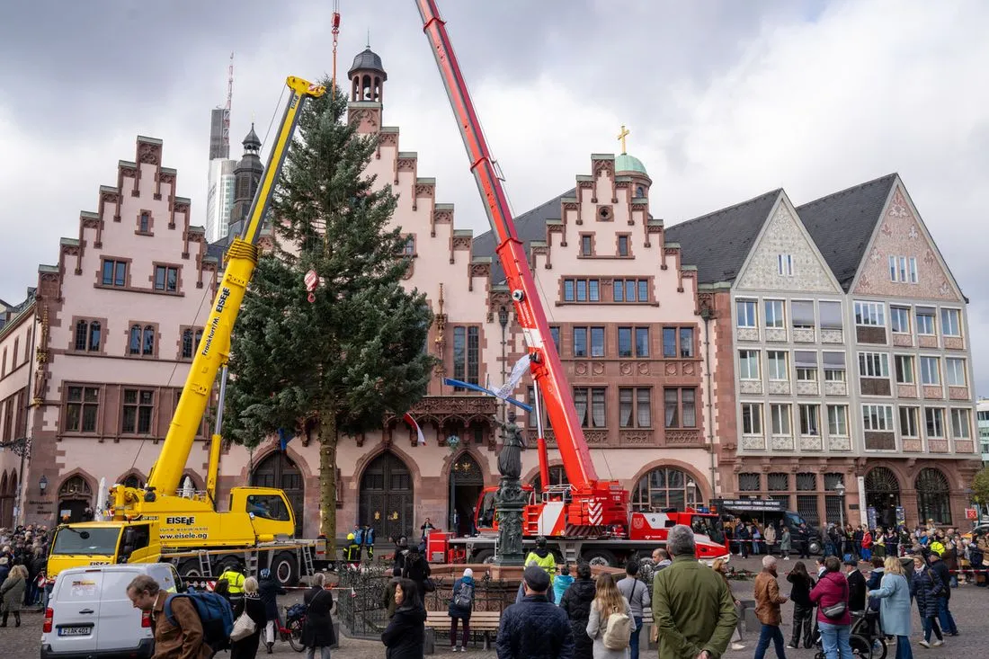 Schlüchtern: Aus Frankfurter Weihnachtsbaum wird überdimensionales Bingo-Spiel