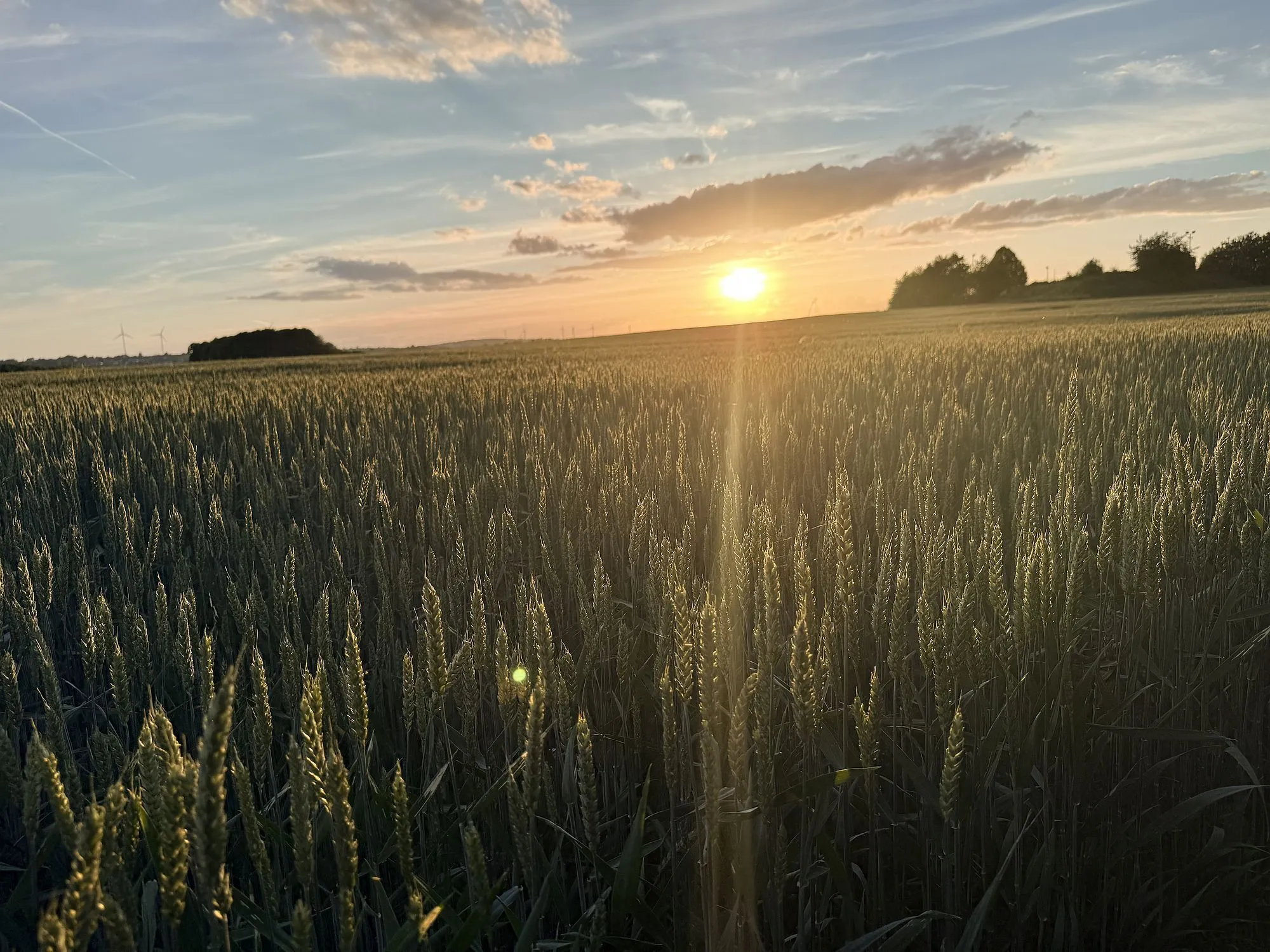 reutzeludenhain az1