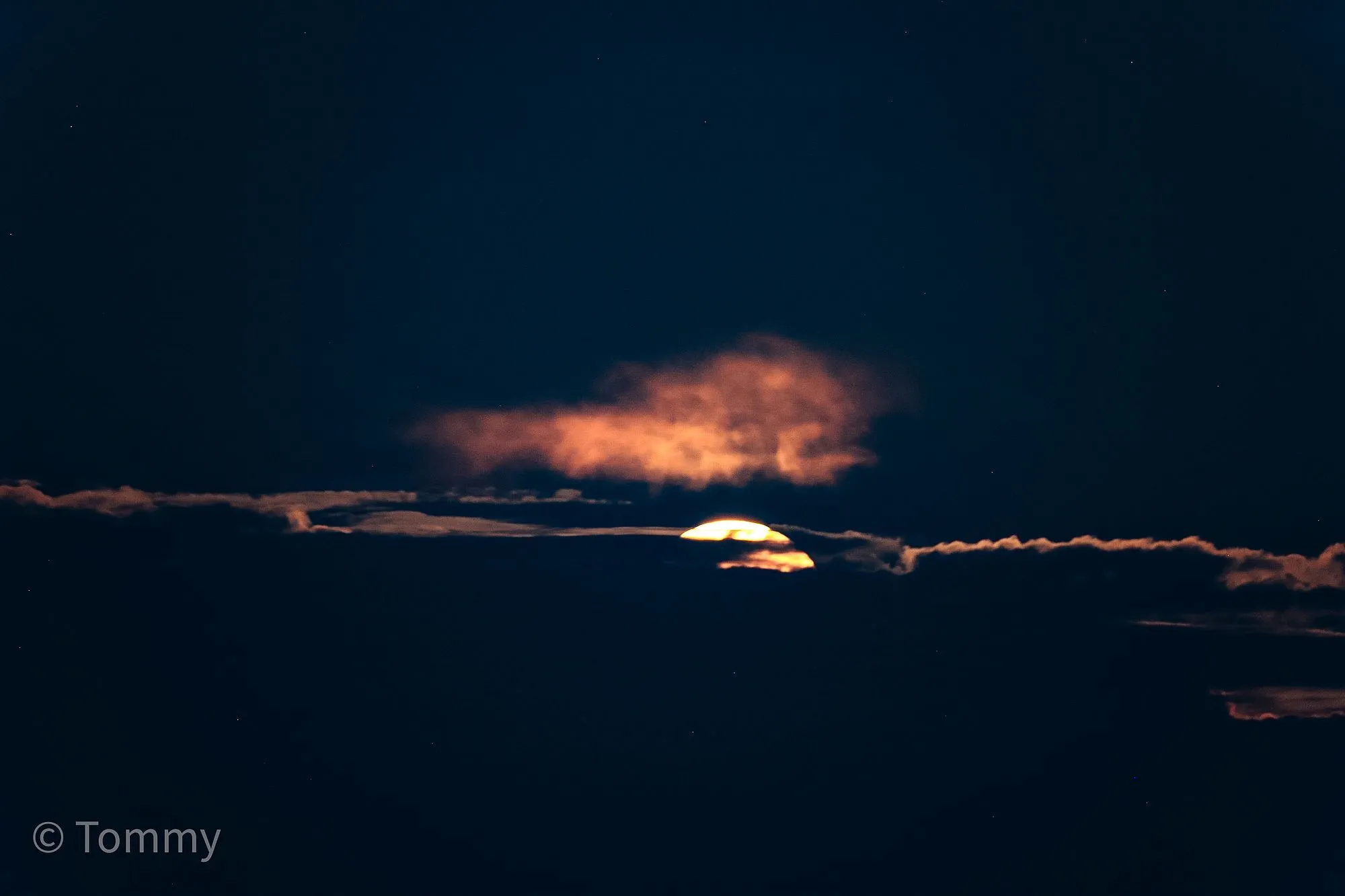 tommyerdbeermond az2