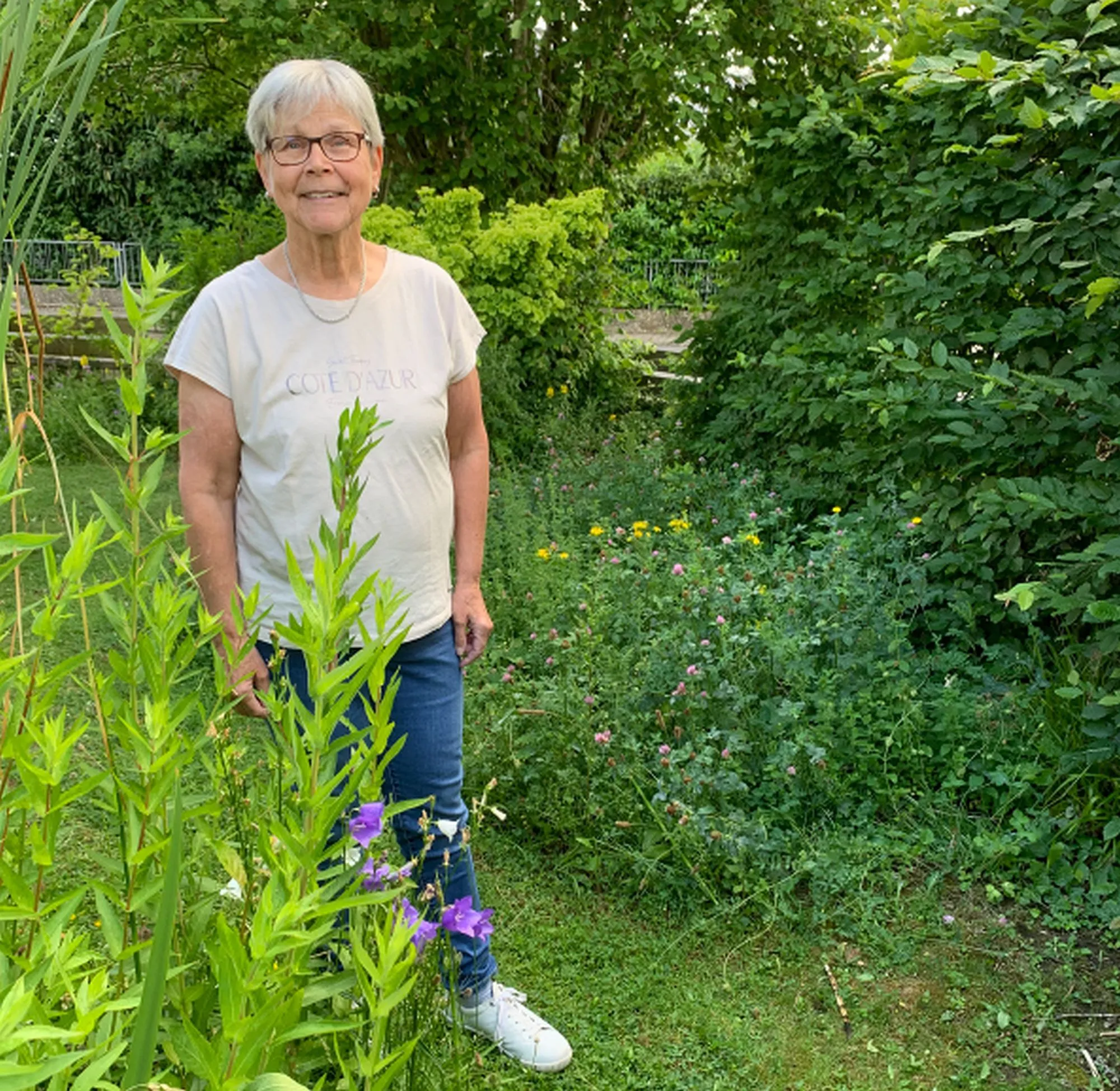 Tag des Gartens 2026: Grüne werben für naturnahe und klimafeste Gärten