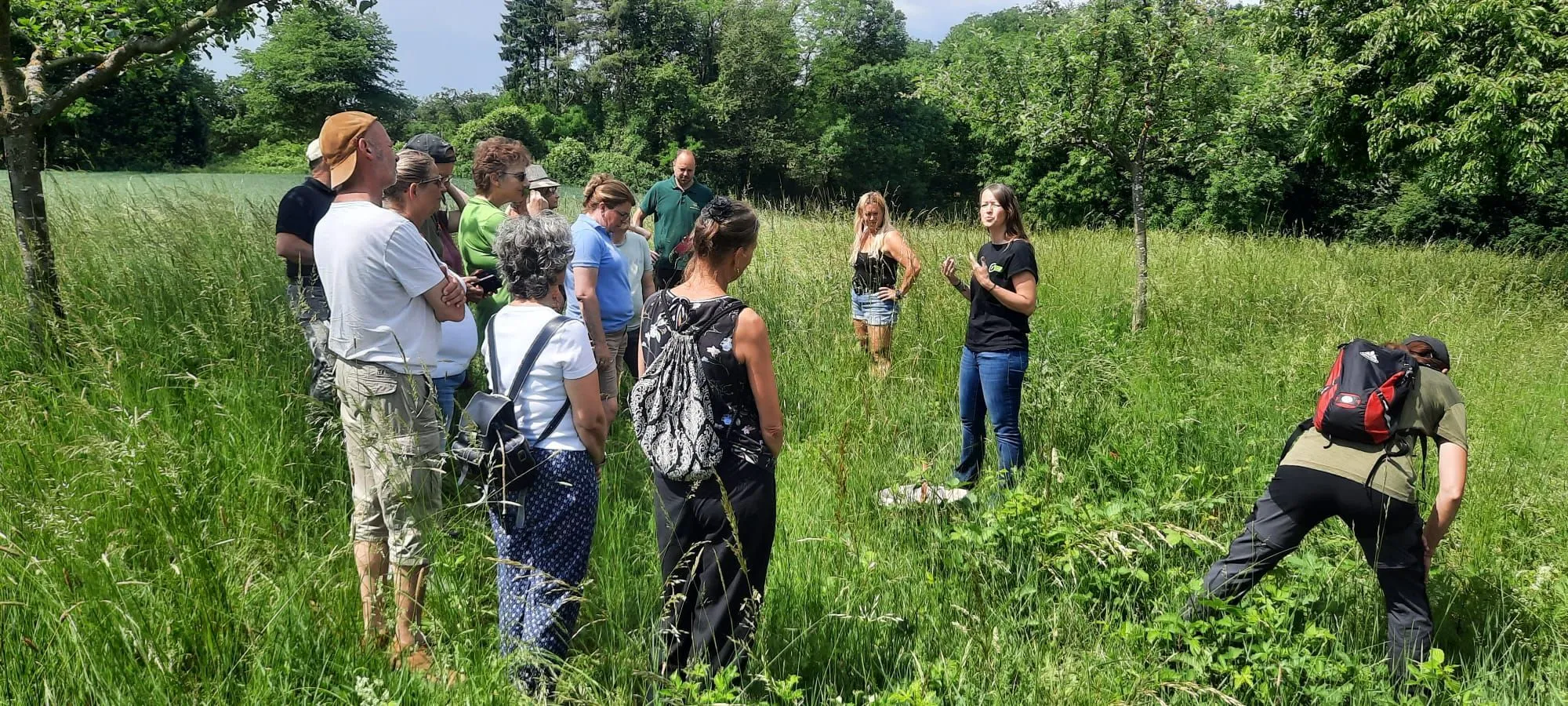 OGV Hammersbach auf Kräuterwanderung im Ortsteil Marköbel