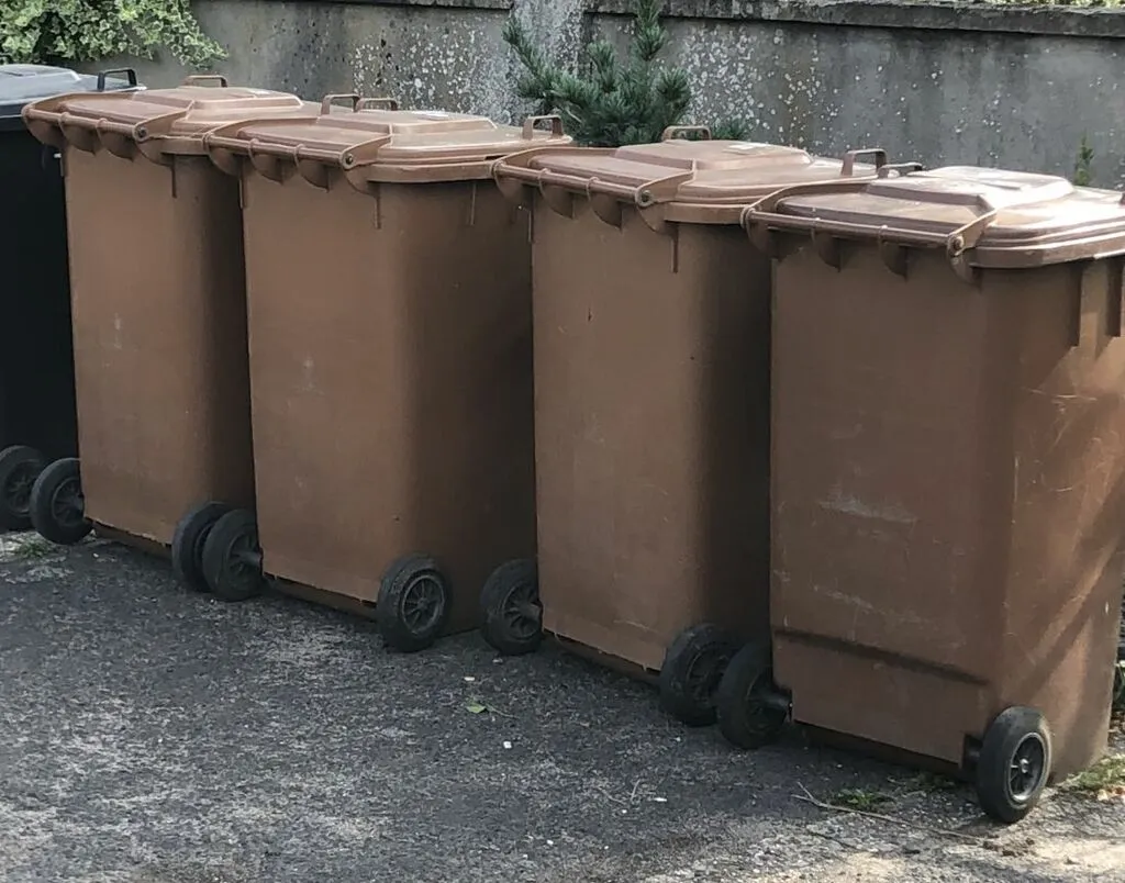 Biotonne im Winter richtig befüllen