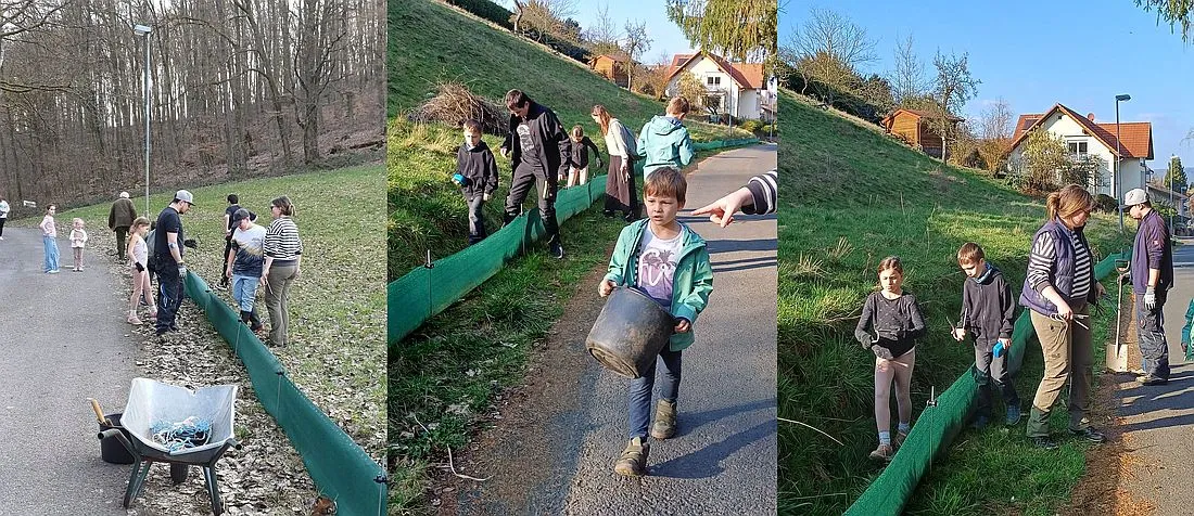 Frösche, Kröten und Molche starten in den Frühling