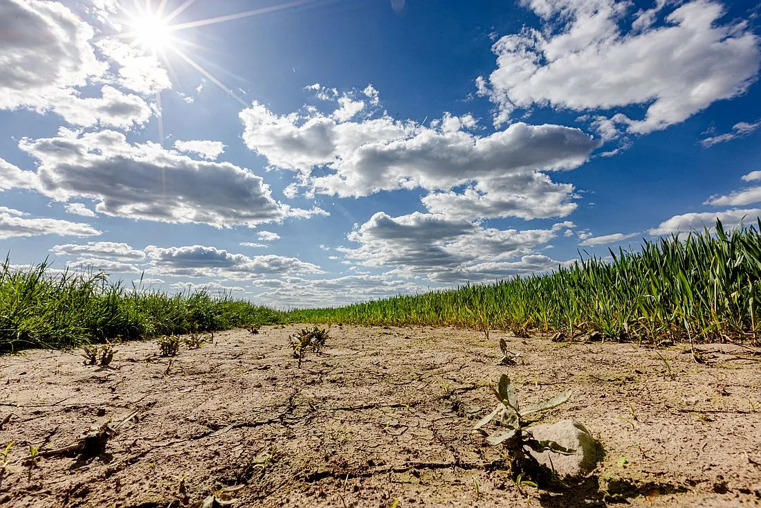 Ausstellung des Fotowettbewerbs „Klimawandel im Kinzigtal“