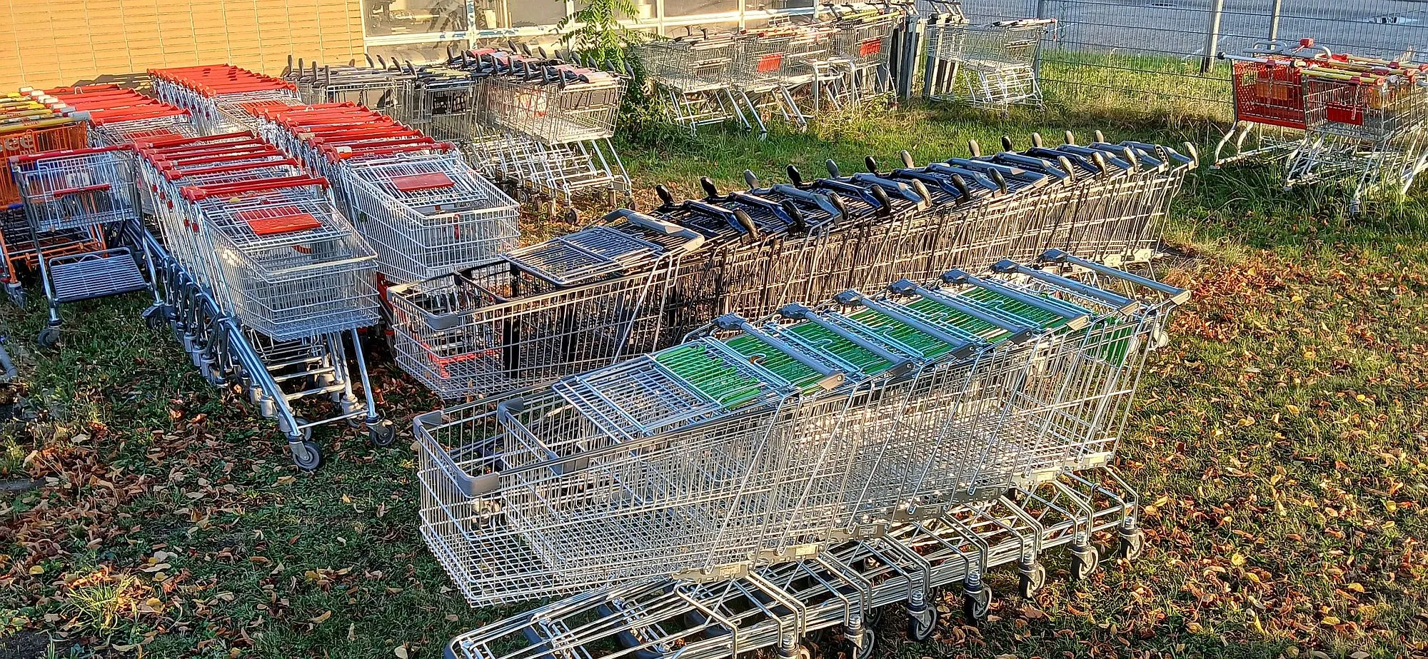 „Gut für das Stadtbild": Hanau sammelt Einkaufswagen ein