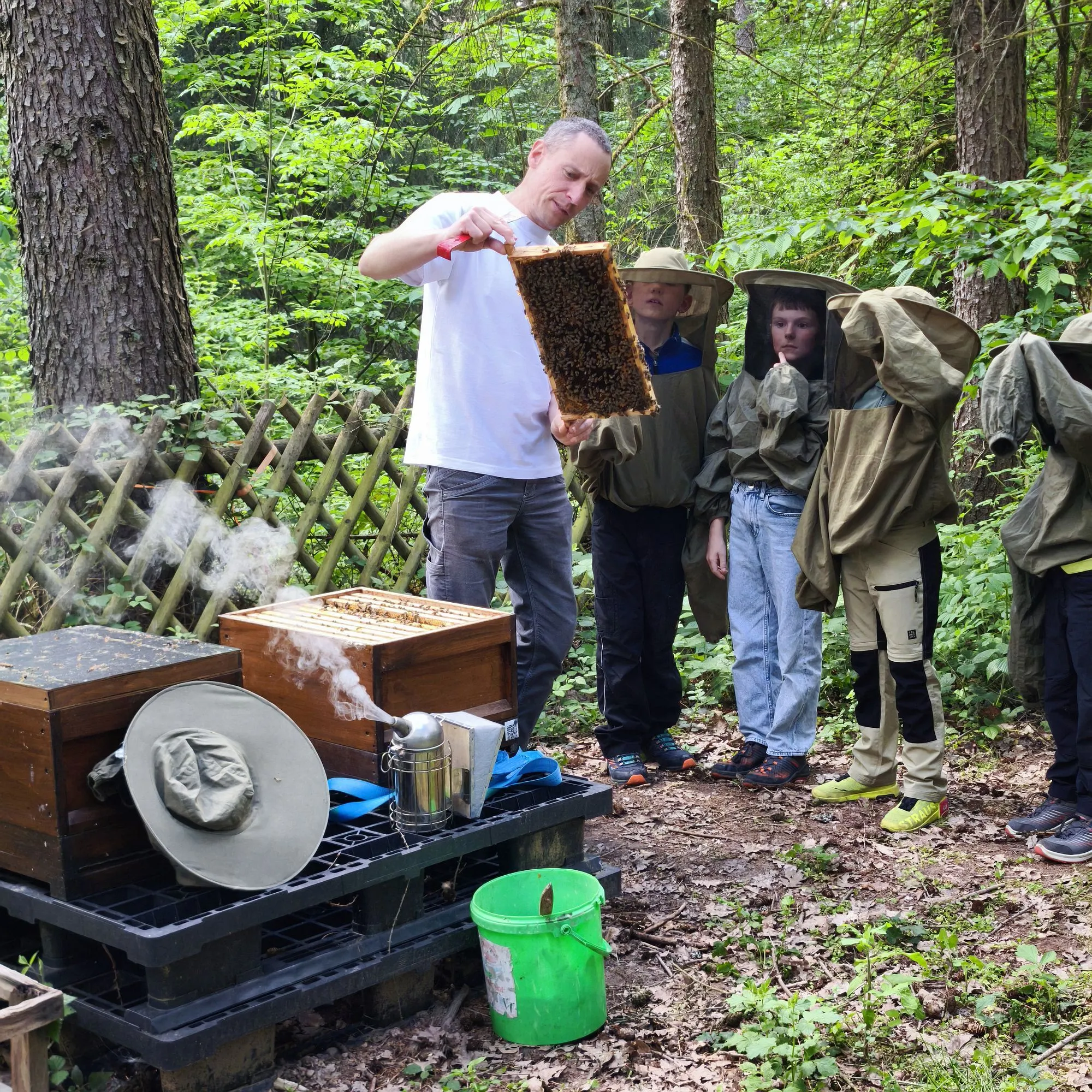 NVSG-Kinder entdecken die faszinierende Welt der Honigbienen