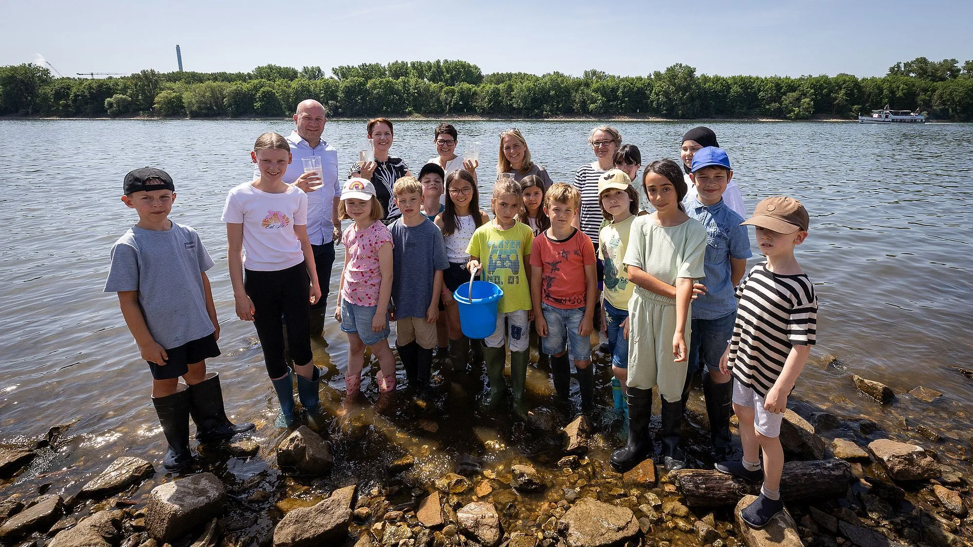 700.000 Maifischlarven im Rhein ausgesetzt