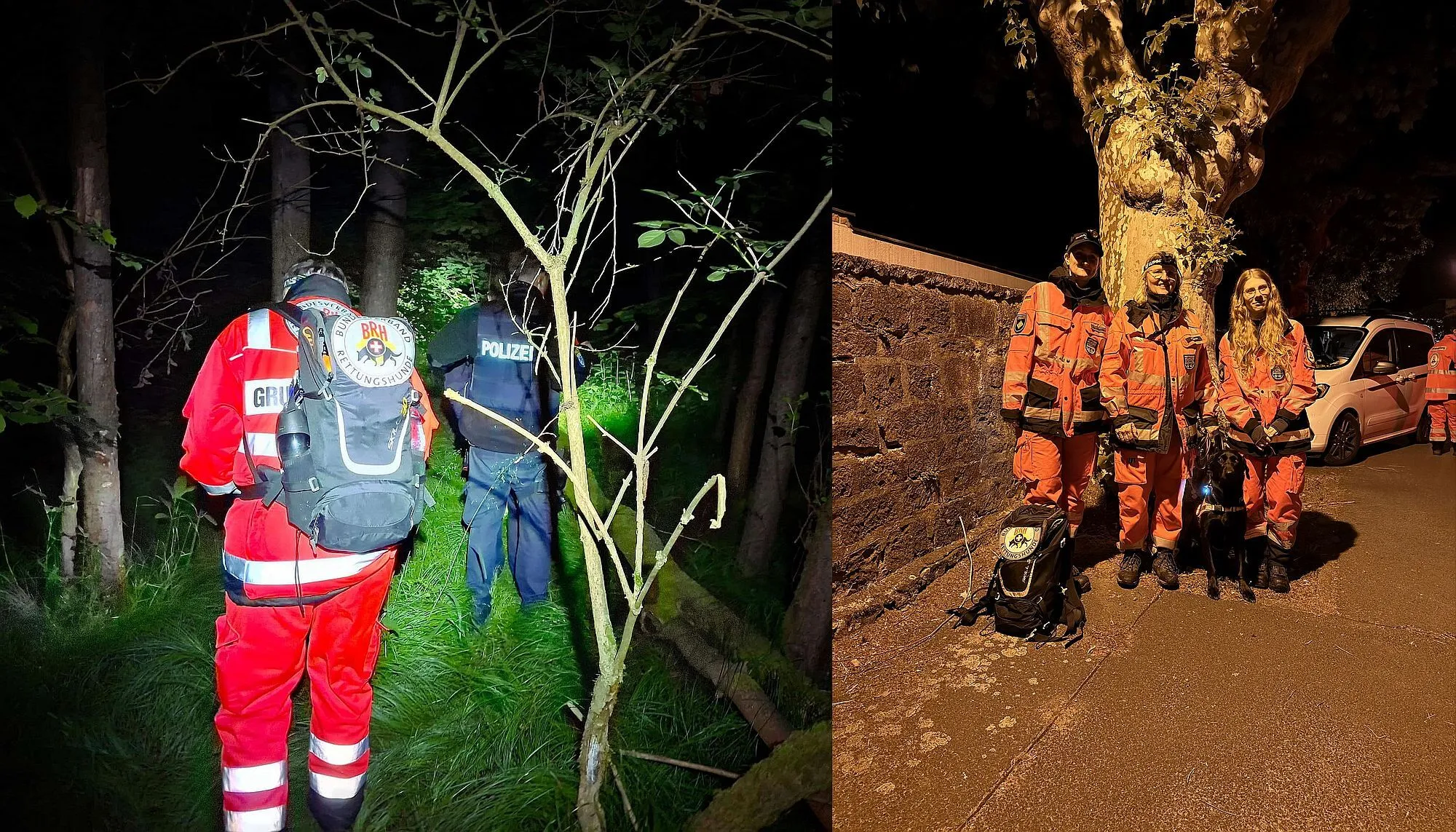 Hasselroth: Rettungshundestaffel findet vermisste Person