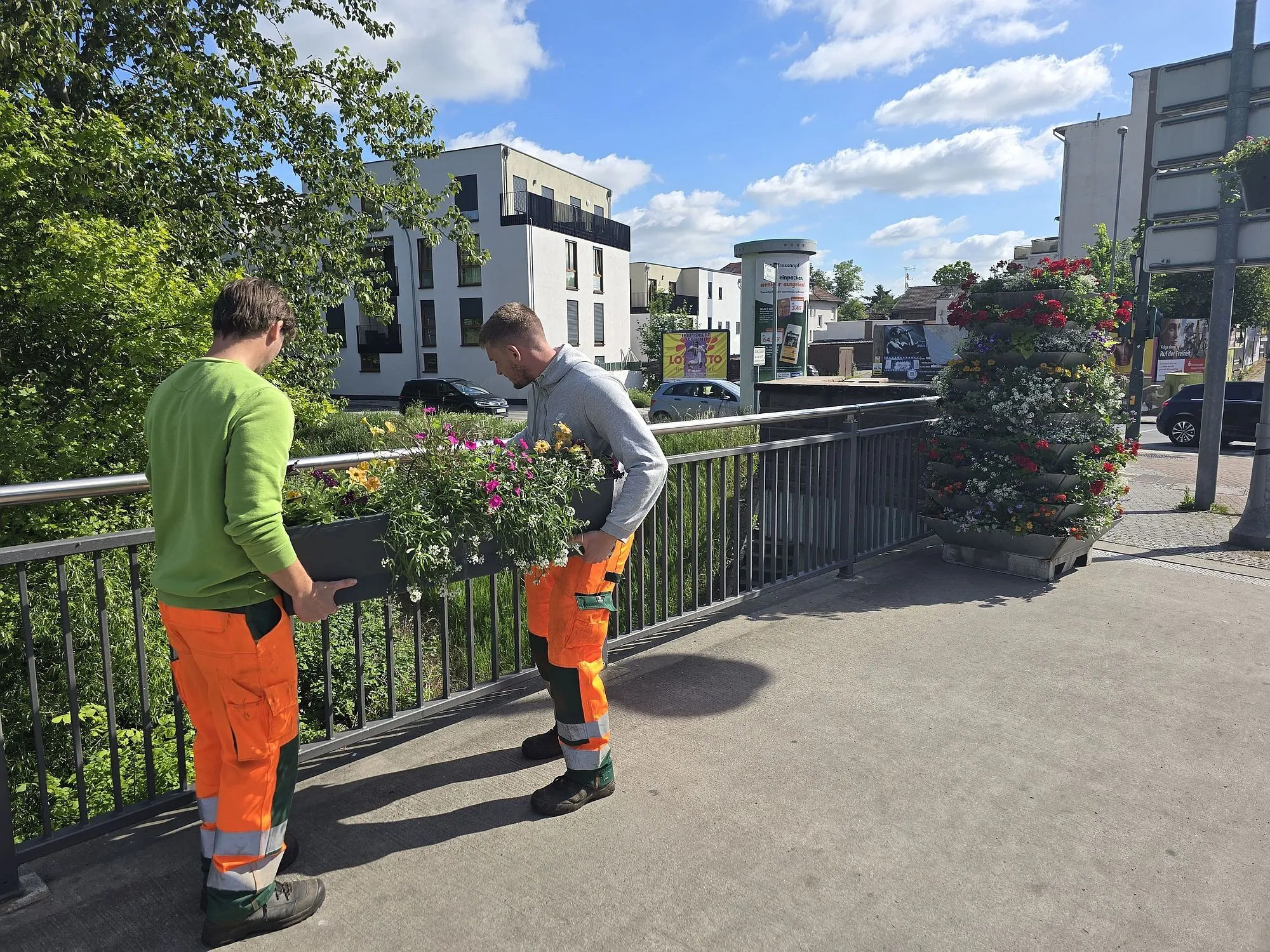 Bunte Sommerblumen für die Wilhelmsbrücke