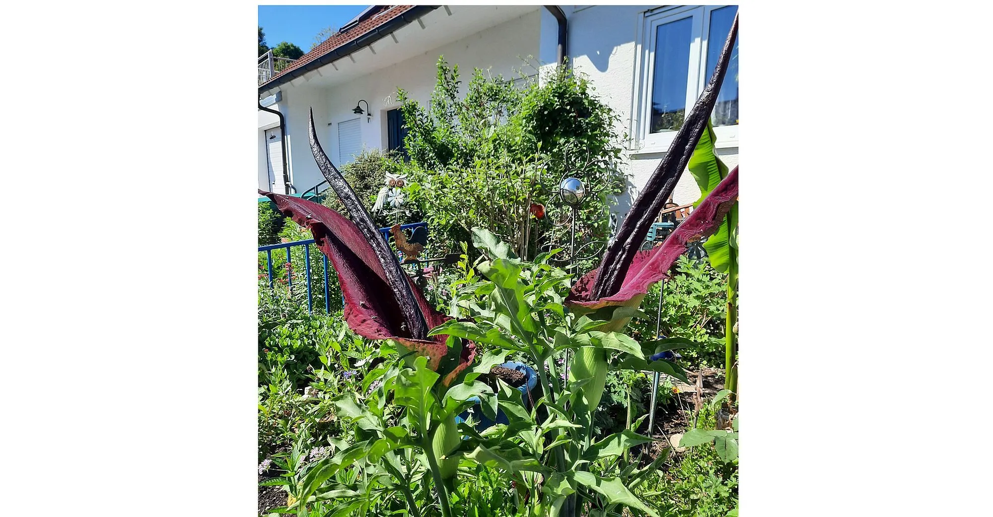 Leser-Fotos: So schön ist der Main-Kinzig-Kreis