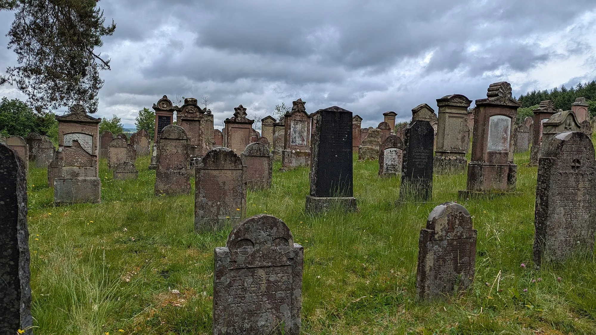 Der jüdische Friedhof – ein einzigartiges Kulturdenkmal