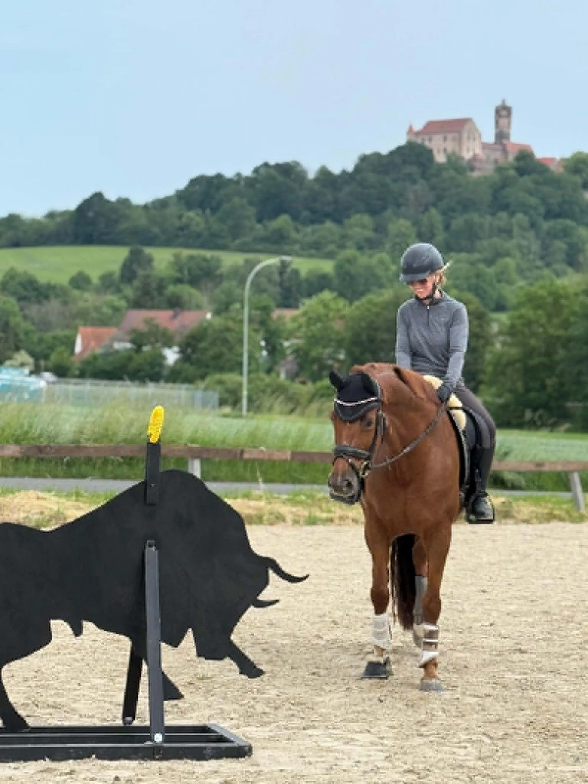 Reitverein Ronneburger Hügelland e.V. bietet Working Equitation an
