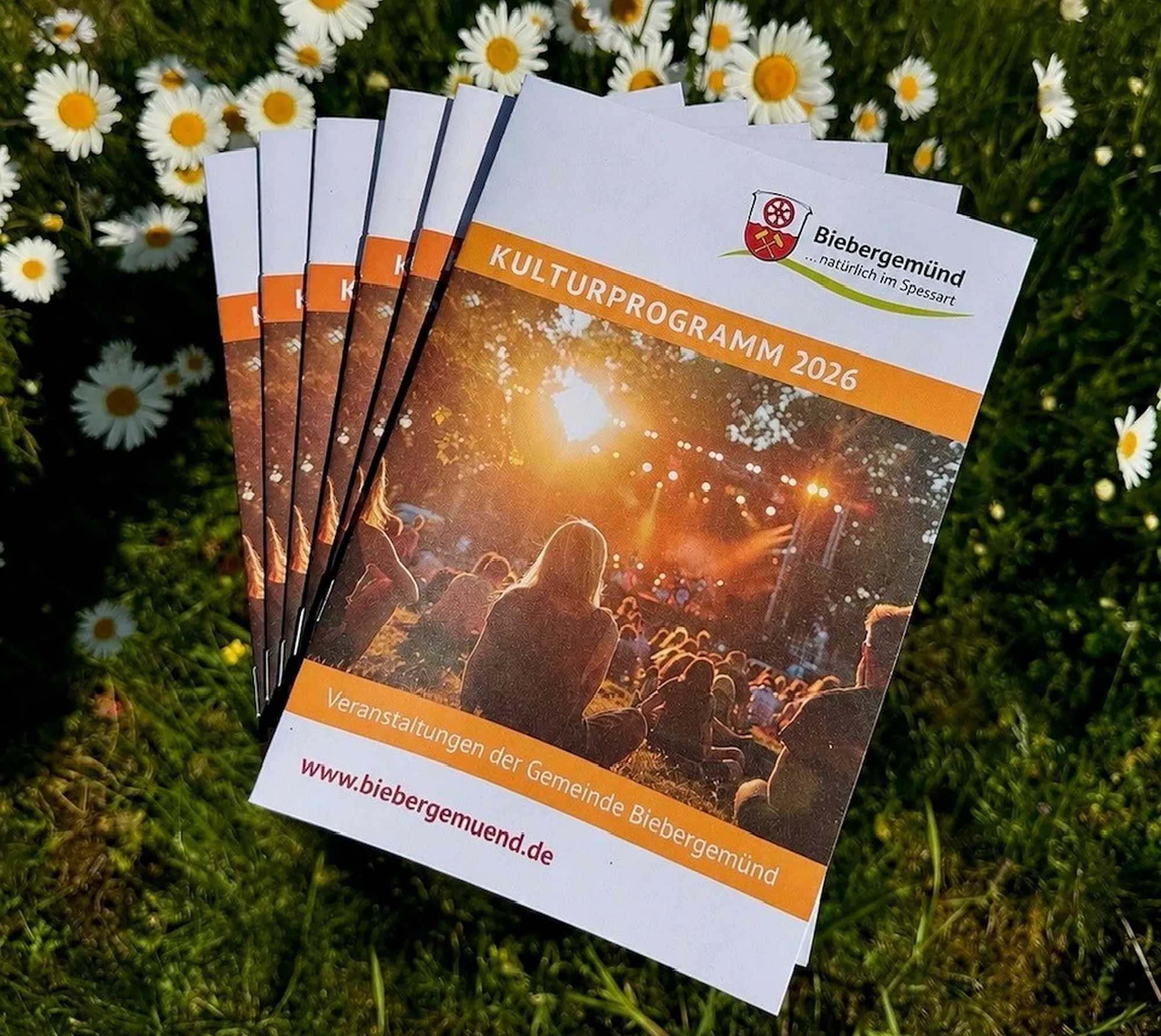 Kulturprogramm 2026: Musik, Theater und Sommerabende 
