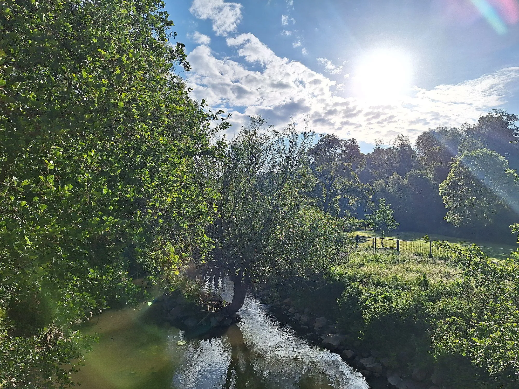 Leser-Fotos: So schön ist der Main-Kinzig-Kreis