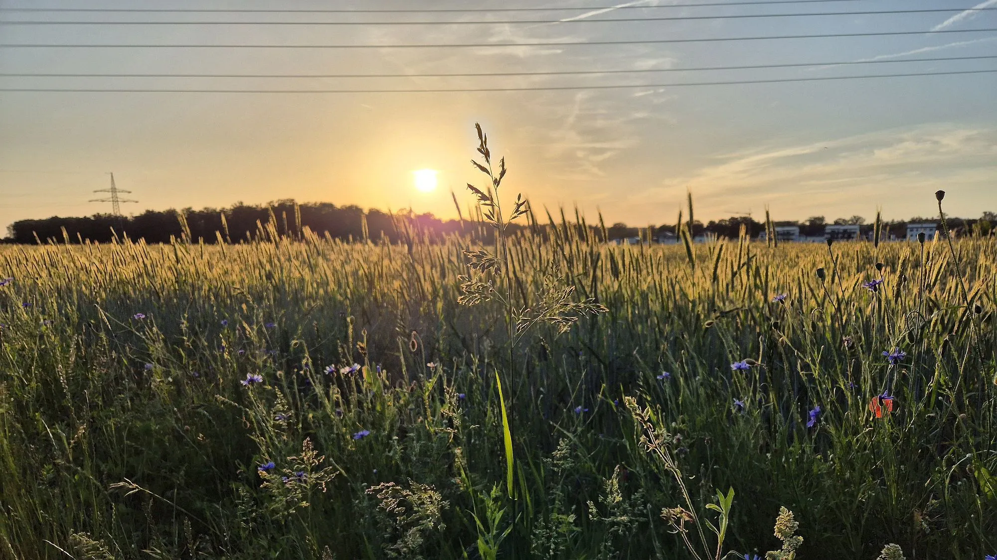 Leser-Fotos: So schön ist der Main-Kinzig-Kreis