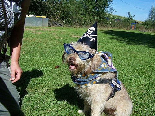 erbstadt hunderallye2