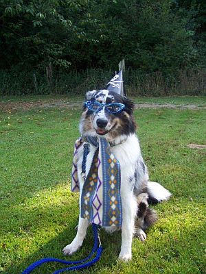 erbstadt hunderallye3