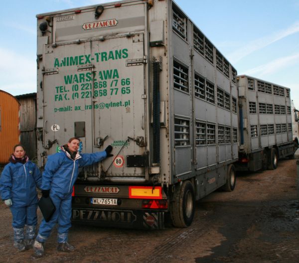 tierschutz wetterau6