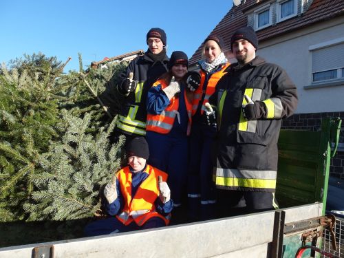 weihnachtsbaum bss1