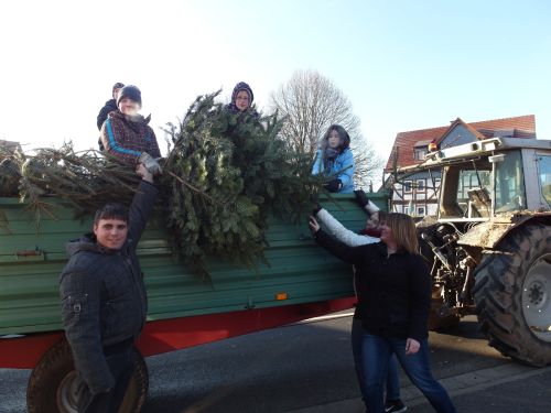 weihnachtsbaum bss2