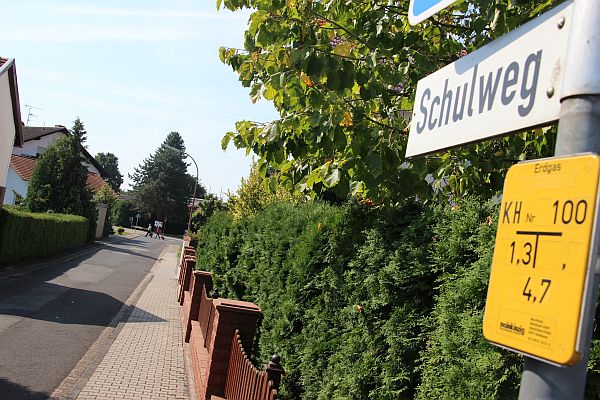 schulweg hasselroth1