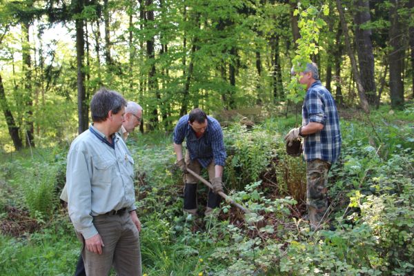 tagbaum freigericht1