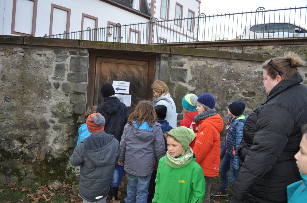 museumdetek
