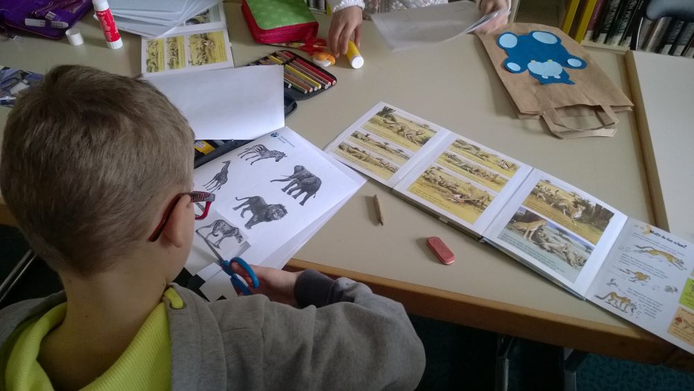 projemainschl1.jpg