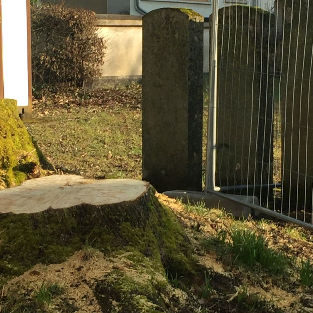 judenfriedhofbaeum.jpg