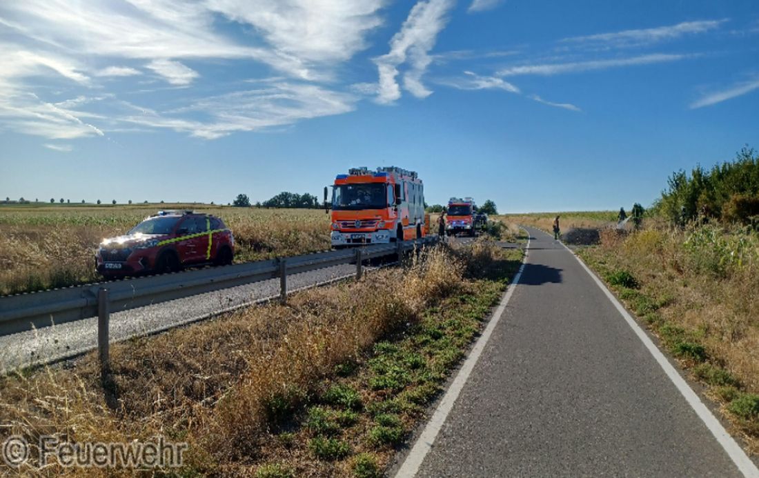 grasgestrupeschoen az