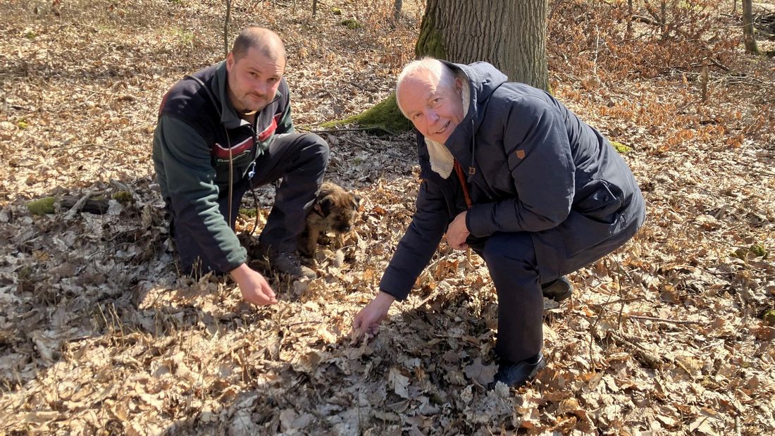 gerichstwalatnehei az1