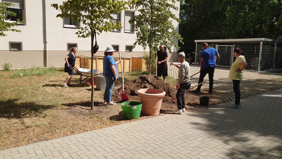 hochbeetehafentorhu az1