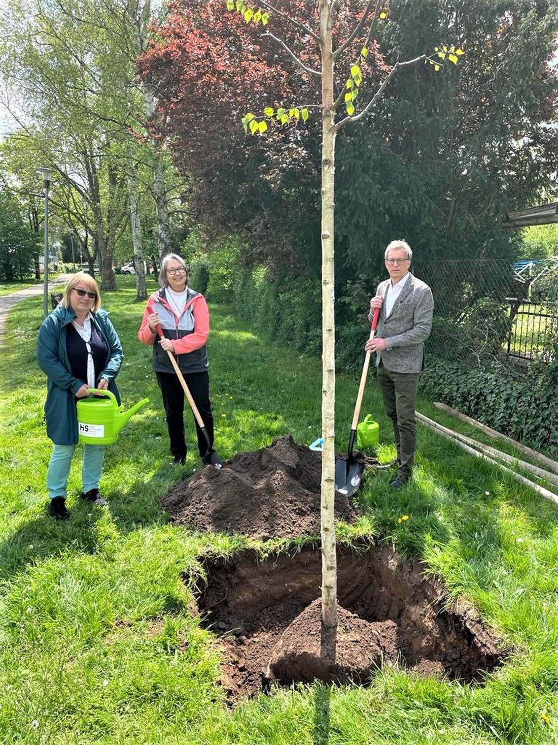 neuebaumehugeplan az