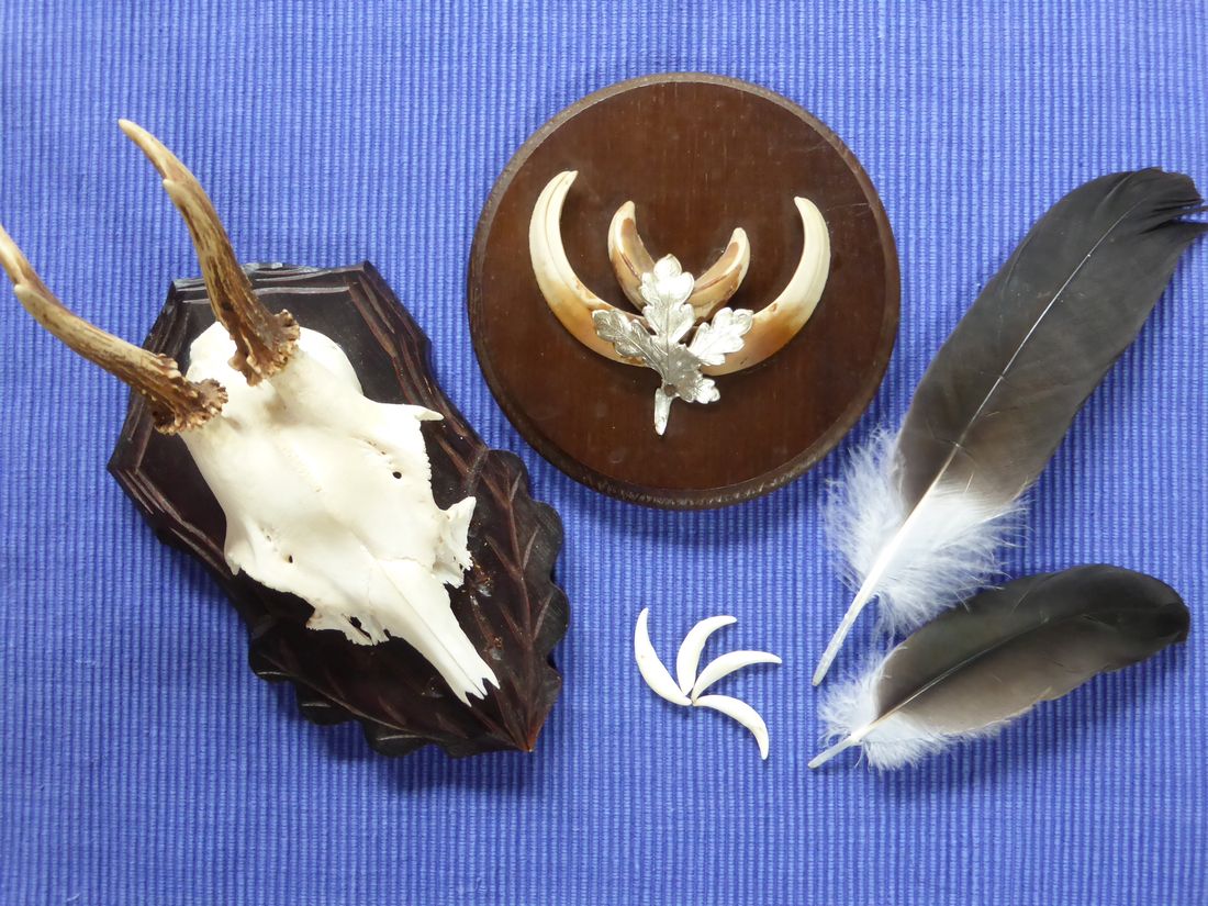 jaegersprachfuehrun az