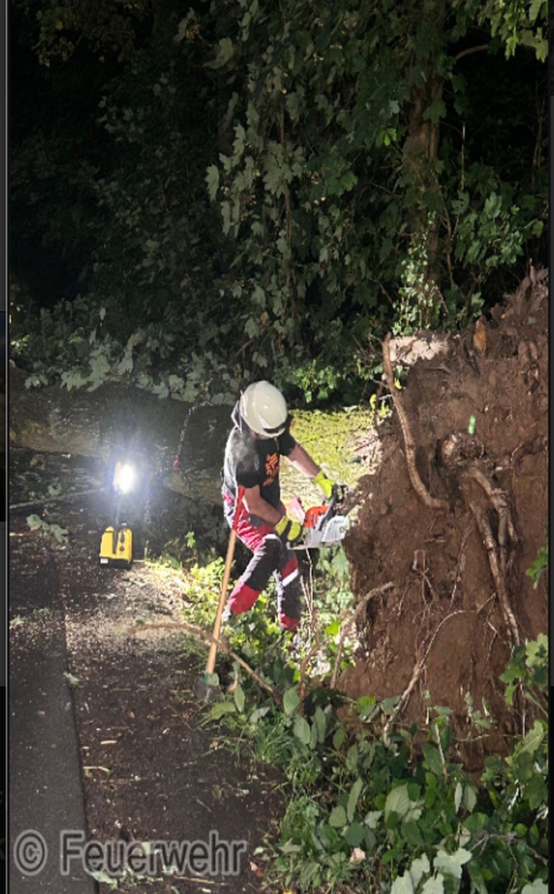 dickeeicheschoeneck az1