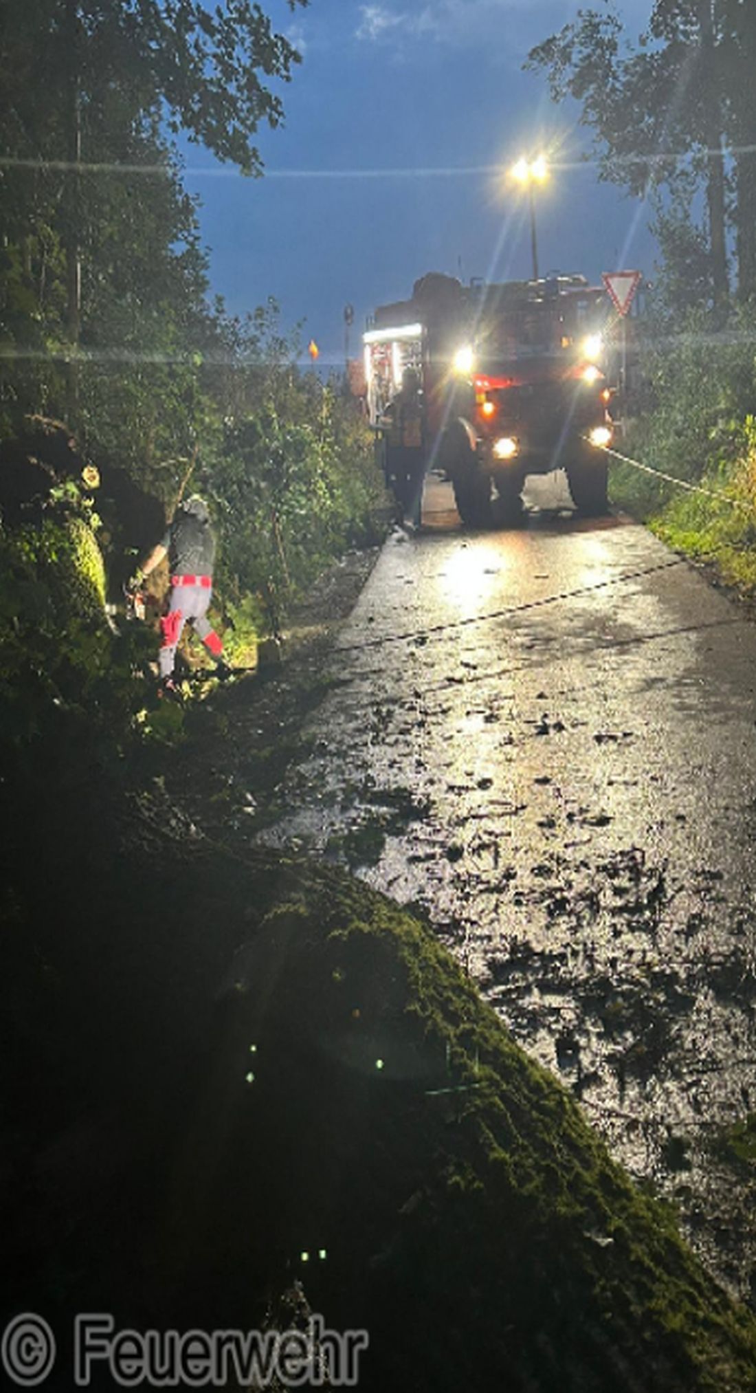 dickeeicheschoeneck az2