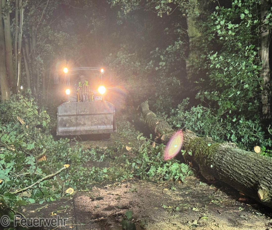 dickeeicheschoeneck az3