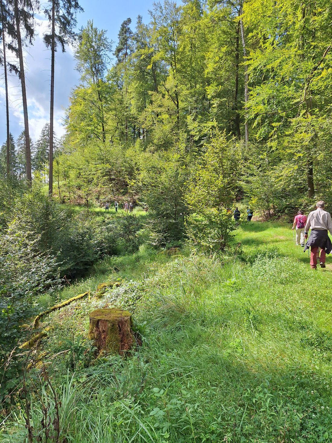 gerichtswaldsplinsen az